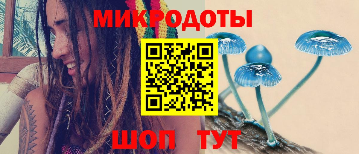 Галлюциногенные грибы Magic Shrooms  Вход с VPN  Вичуга  Псилоцибиновые грибы Psilocybine cubensis 